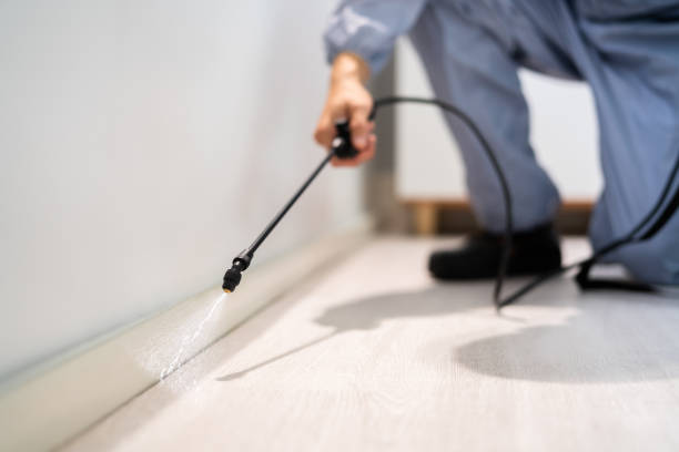 Licensed Wasp Removal service in Terrebonne, OR - Show Me Pest Control