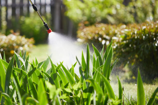 24/7 Emergency Wasp Removal experts in Terrebonne, OR