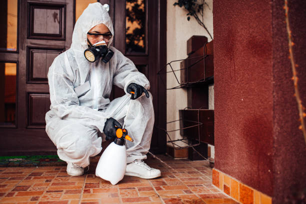 Reliable Wasp Removal contractor in Terrebonne, OR by Show Me Pest Control
